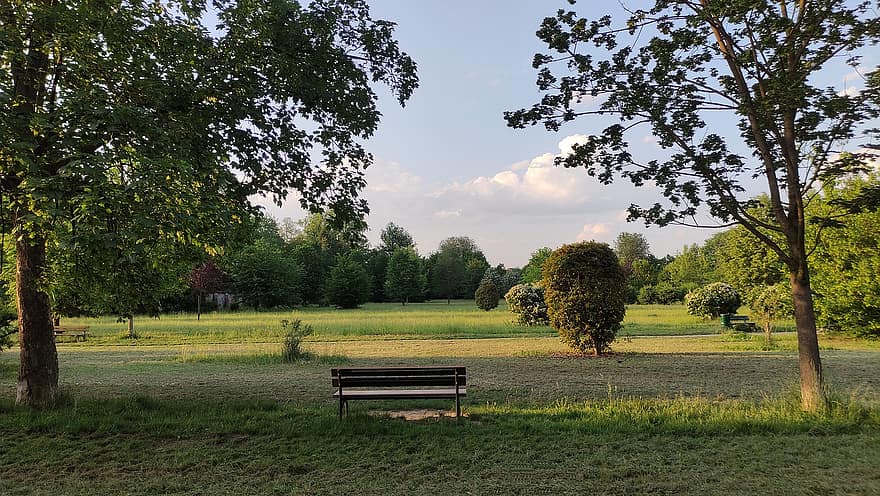 Park, Bench, Trees, Nature, Field, Meadow, Outdoors, Spring, Sky, Clouds, tree