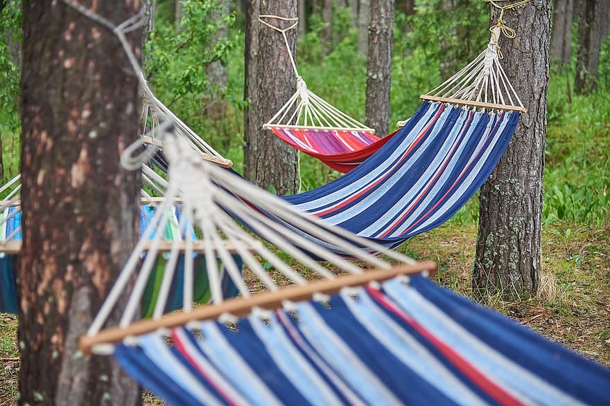 bomen, hangmatten, Bos, natuur, comfortabel, ontspanning, resting, eenzaamheid, vakantie, bossen, camping