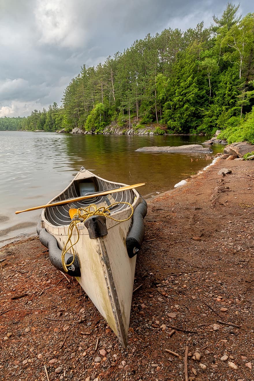 canoe, lac, copaci, Canada, barcă, apă, natură, canotaj, aventură, peisaj, în aer liber