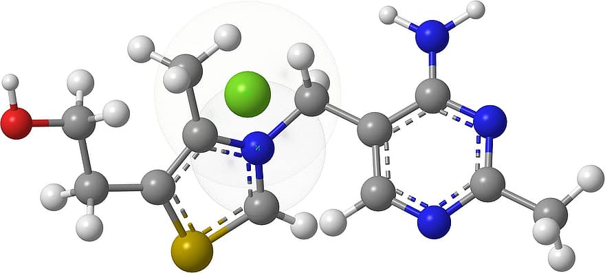 тиамин, Азотни основи, органична химия, молекули