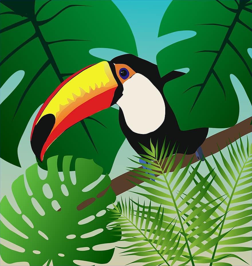 uccello, foresta amazzonica, brasile, natura, animale, selvaggio