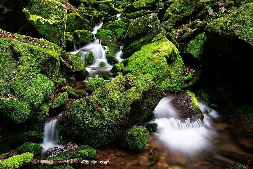 Waterfall, Moss, Korea, Mountain, Valley, Green, Forest, Tree, Clean, Cool, Brook