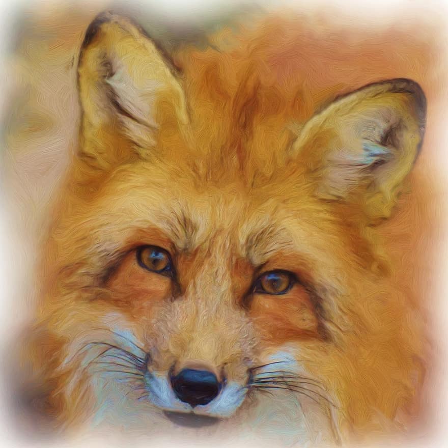 Painting, Oil Painting, Photo Painting, Fuchs, Red Fox, Art, Artwork, Creative, Animal Portrait