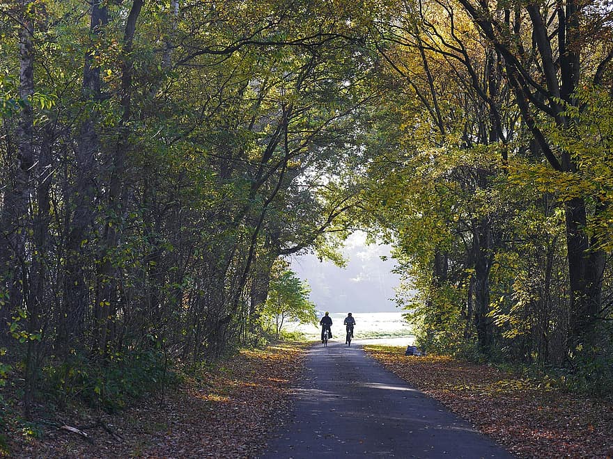naturalesa, Camí, arbres, a l'aire lliure, rural, aventura, viatjar, bosc, Per anar en bicicleta