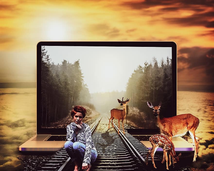 laptop, jernbane, tog, kvinne, spor, hjort, skyer