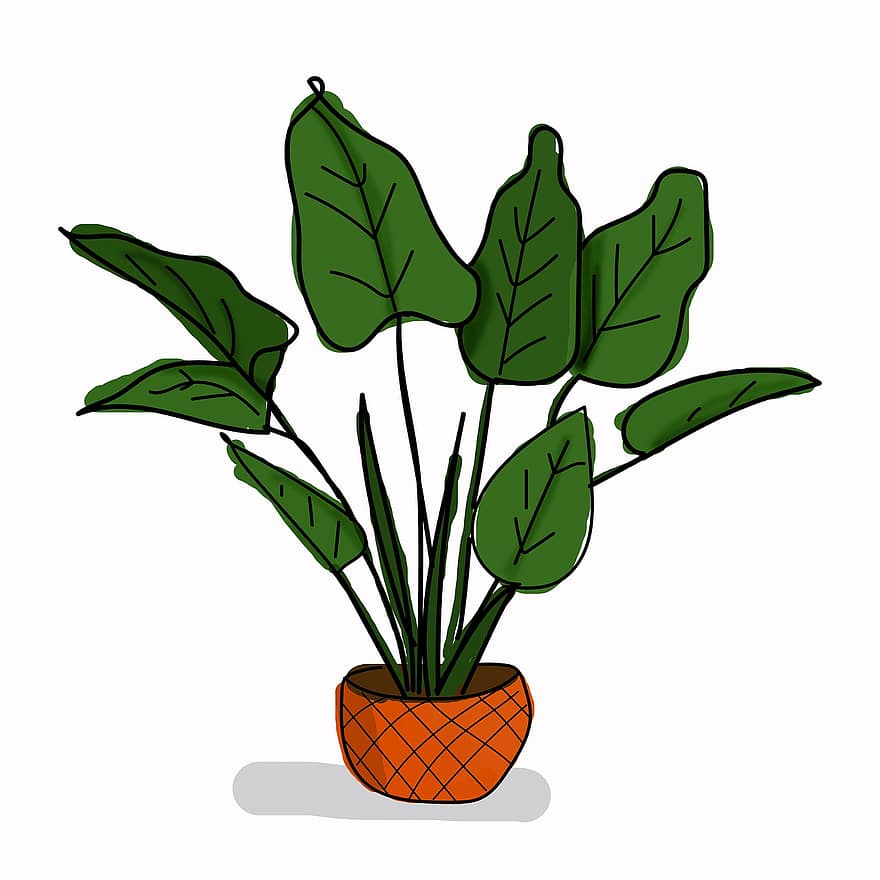 Plant, Leaves, Plant Pot, Nature, Houseplant, Drawing, leaf, illustration, green color, flower, summer