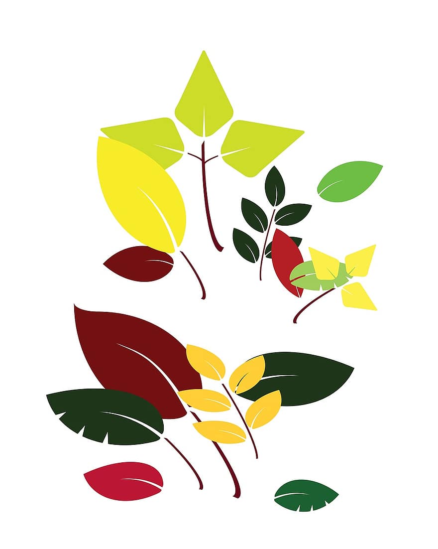 잎, 플로라, 자연, 분리, 성장, 가을