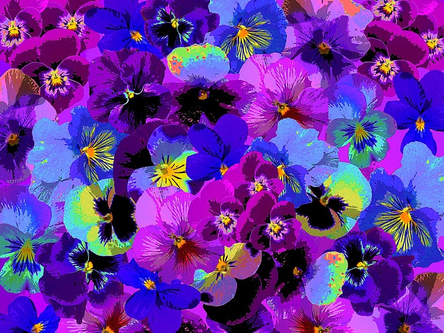 анютины глазки, весна, сад, цвести, цветение, цветок, синий, Виолетта, Violaceae, завод, пурпурный