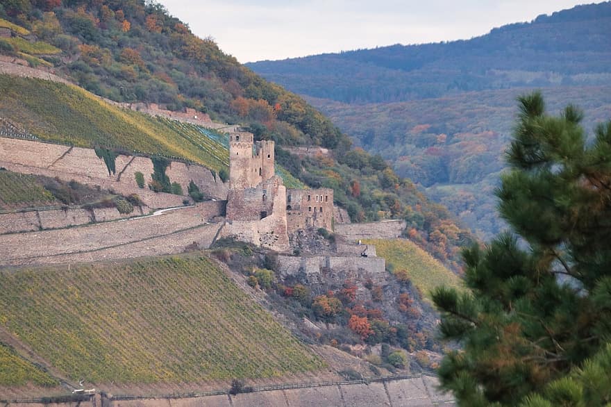 klasztor, dolina Renu, winnice, rüdesheim, gruzy, góry