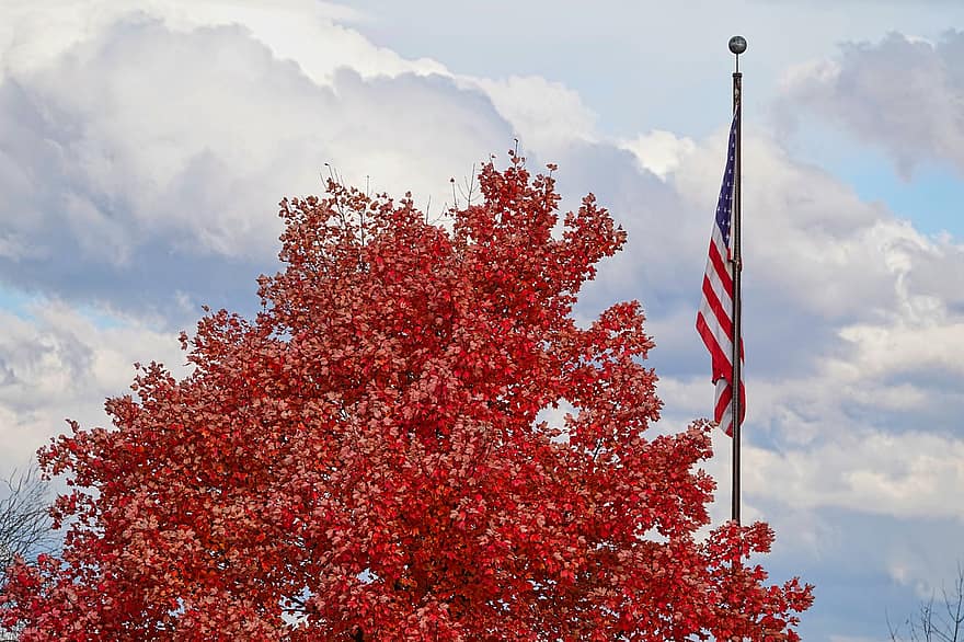 bandera, arbre, caure, tardor, fulles, fulles vermelles, asta de bandera, bandera americana, cel, núvols, EUA