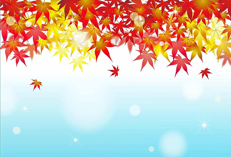 Autumn Background, Autumn Sky, Leaves, Landscape, Nature, Sky, Autumn, Silhouette, Dusk, Bokeh, Scenic