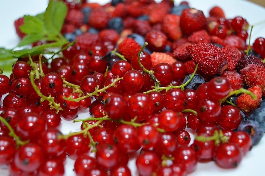 solbær, frugt, fødevarer, have, rød, sommer, bær, sundhed, vitaminer