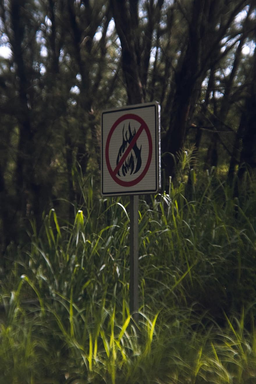 aizliegts, smēķēt, brīdinājums, zīme, brīdinājuma zīme, briesmas, zāli, zaļā krāsa, simbols, mežs, nav cilvēku