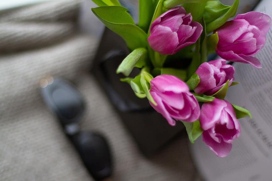 Hoa tulip, những bông hoa, bó hoa, những bông hoa màu hồng, quà tặng, túi quà
