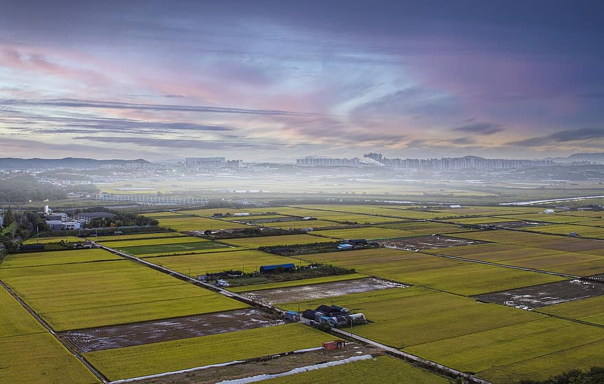 Rural, Farmlands, Agriculture, Landscape, Aerial View