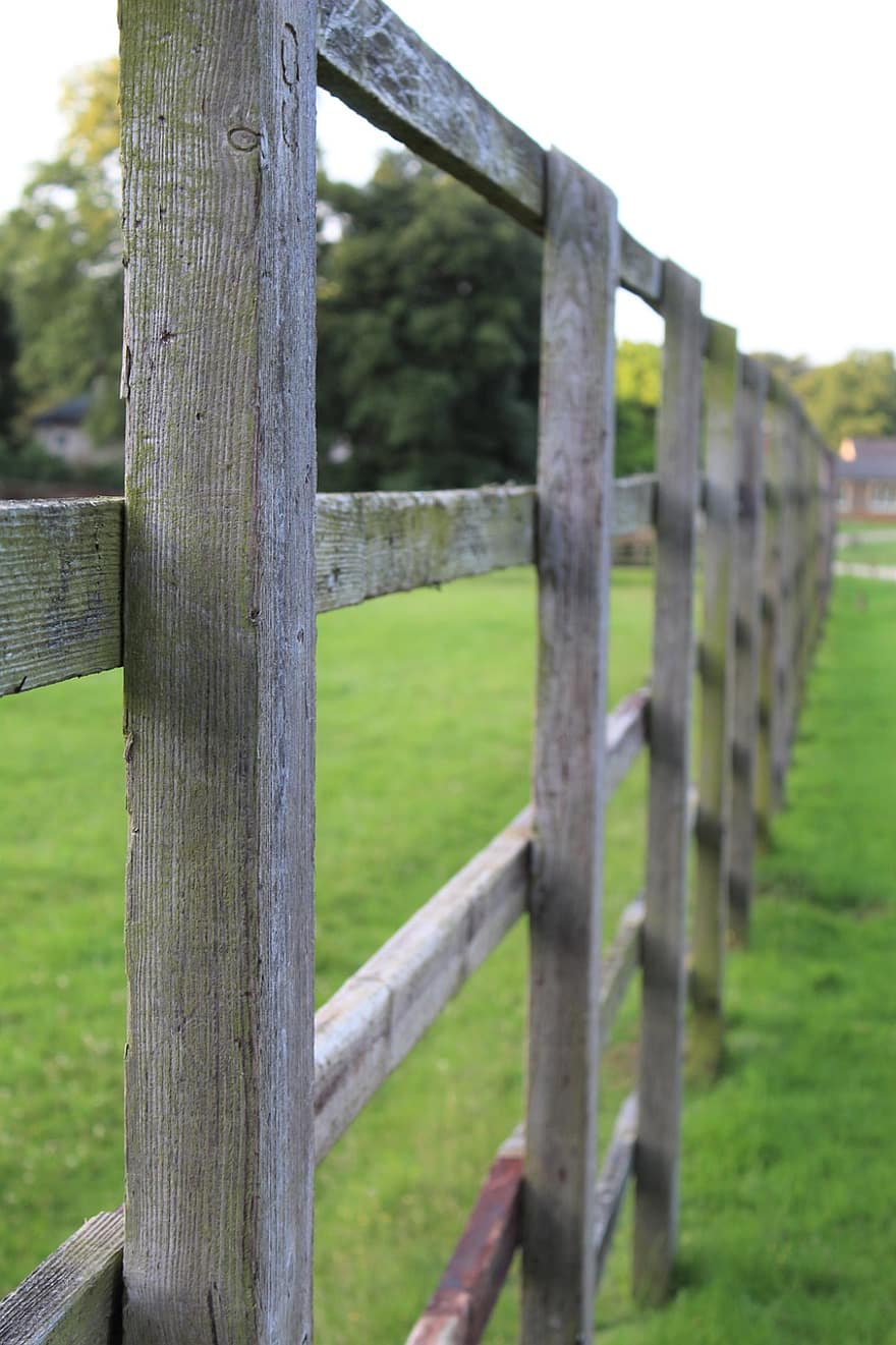 Fence, Countryside, Grass, Meadow, Outdoors, Sky, Path, Farm, Rural