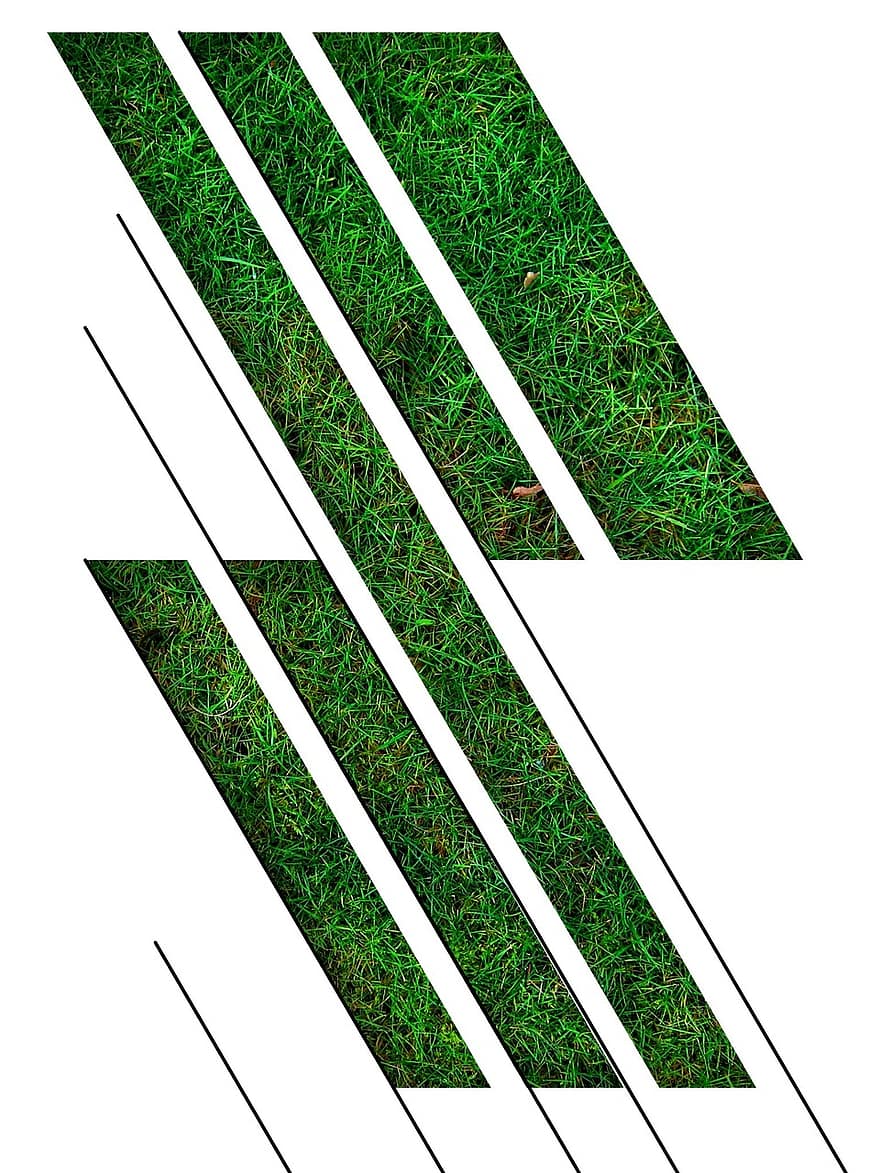 Desain, abstrak, buru-buru, padang rumput, hijau, pola, Latar Belakang