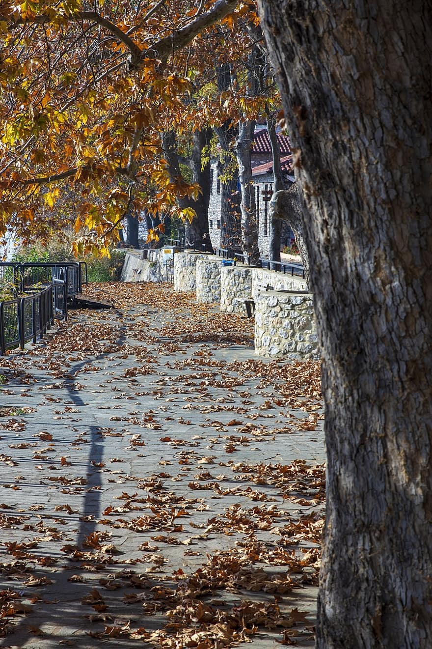 Griechenland, Promenade, Herbst, Herbstsaison, Kastoria, fallen