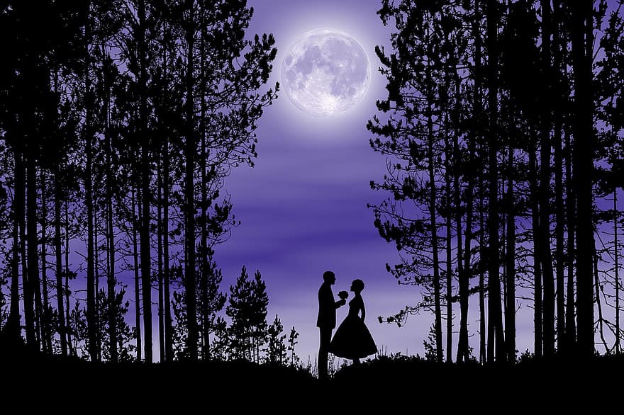 đêm lãng mạn, yêu và quý, lãng mạn, cùng với nhau, tuyên bố tình yêu, trăng tròn, vui mừng, hình bóng