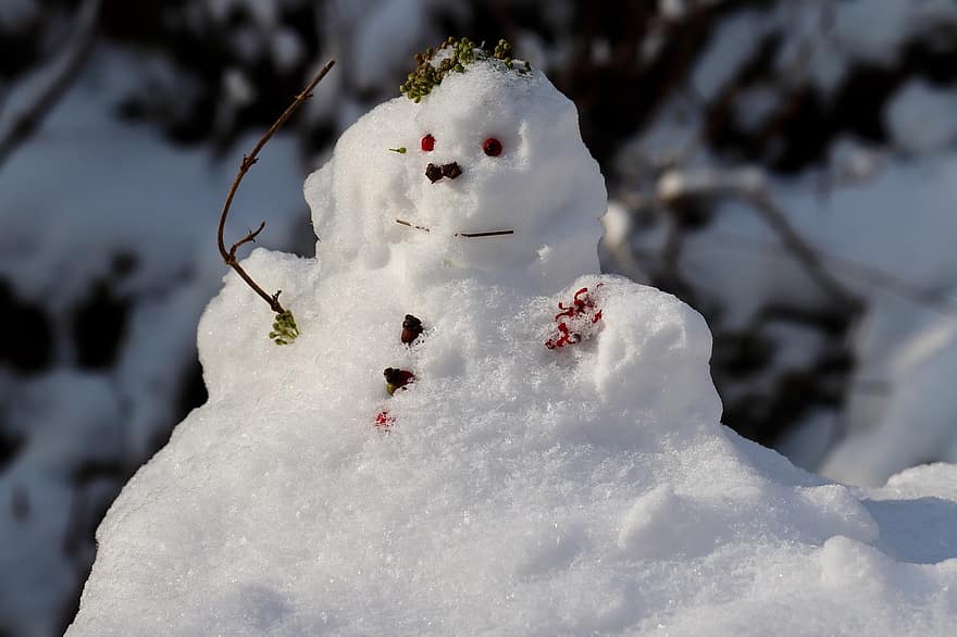 χιονάνθρωπος, χιόνι, παγωνιά, χειμώνας, κρύο