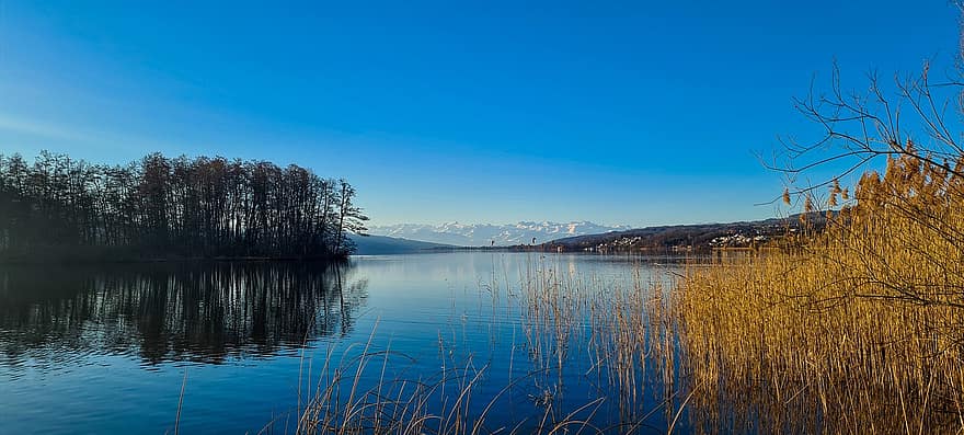 jezioro Hallwil, jezioro, góry, perspektywy, zimowy krajobraz, magia zimowa, zimno, Szwajcaria, niebieski, woda, krajobraz