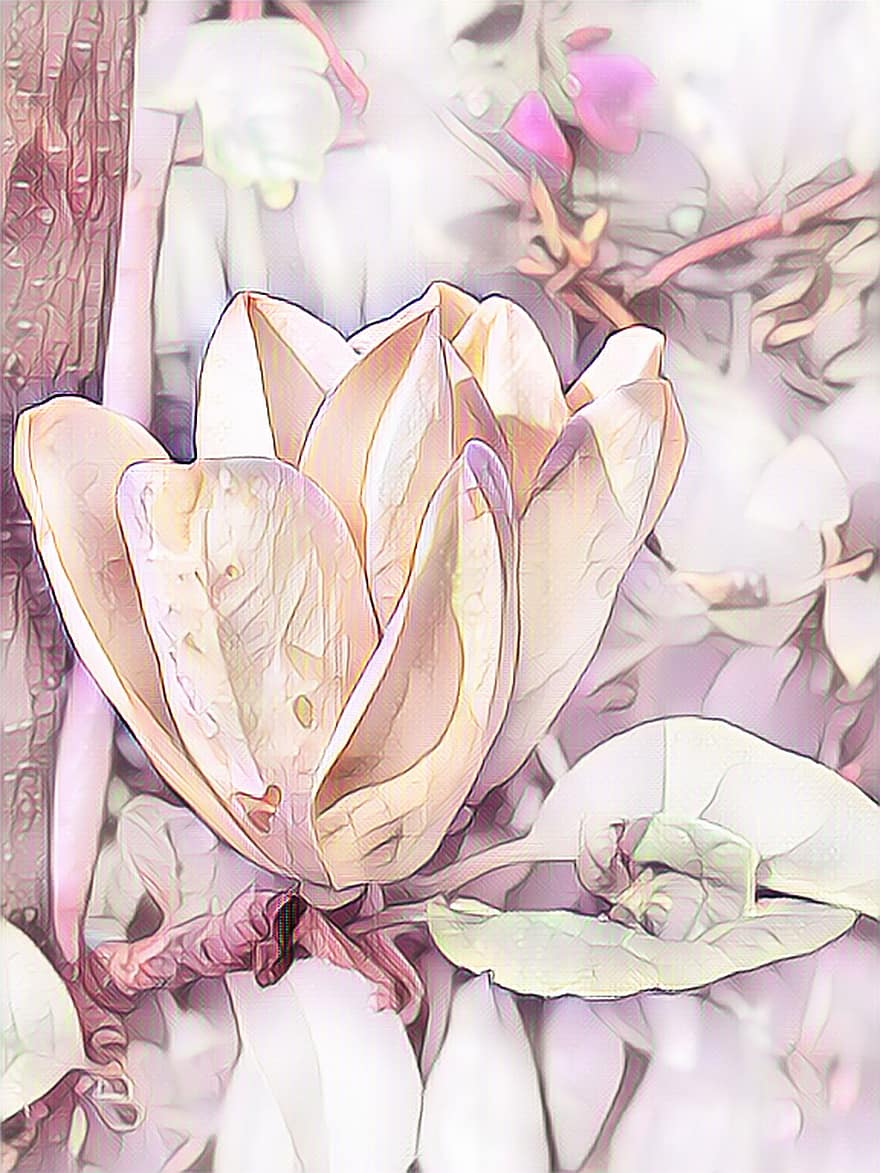 magnolia, pintura digital, pastel, Tulipanes Magolie, flor, floración, amarillo, planta, blandura, rosado
