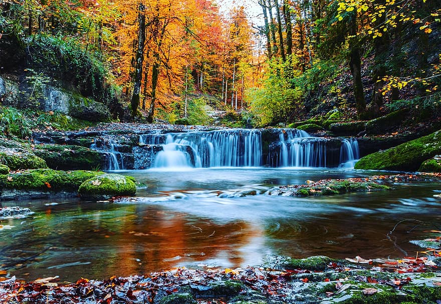 каскад, природа, осень, время года, падать, на открытом воздухе, путешествовать, лес, лист, дерево, воды