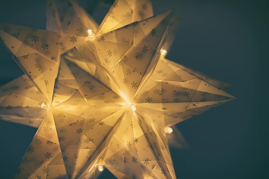 Estrela, poinsétia, leve, luminária, decoração, Botões da cesta, Natal, época de Natal