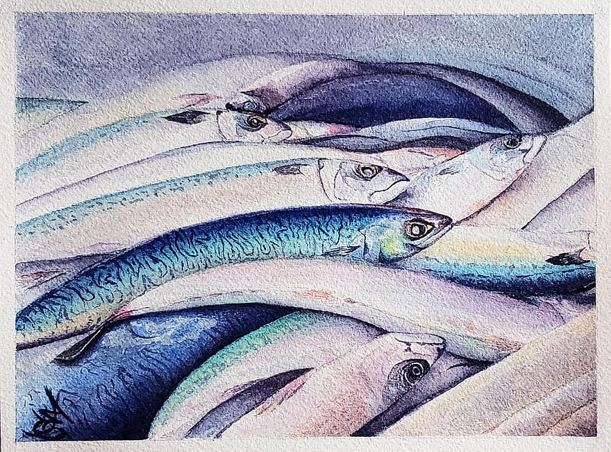 سمك ، سوق ، ألوان مائية