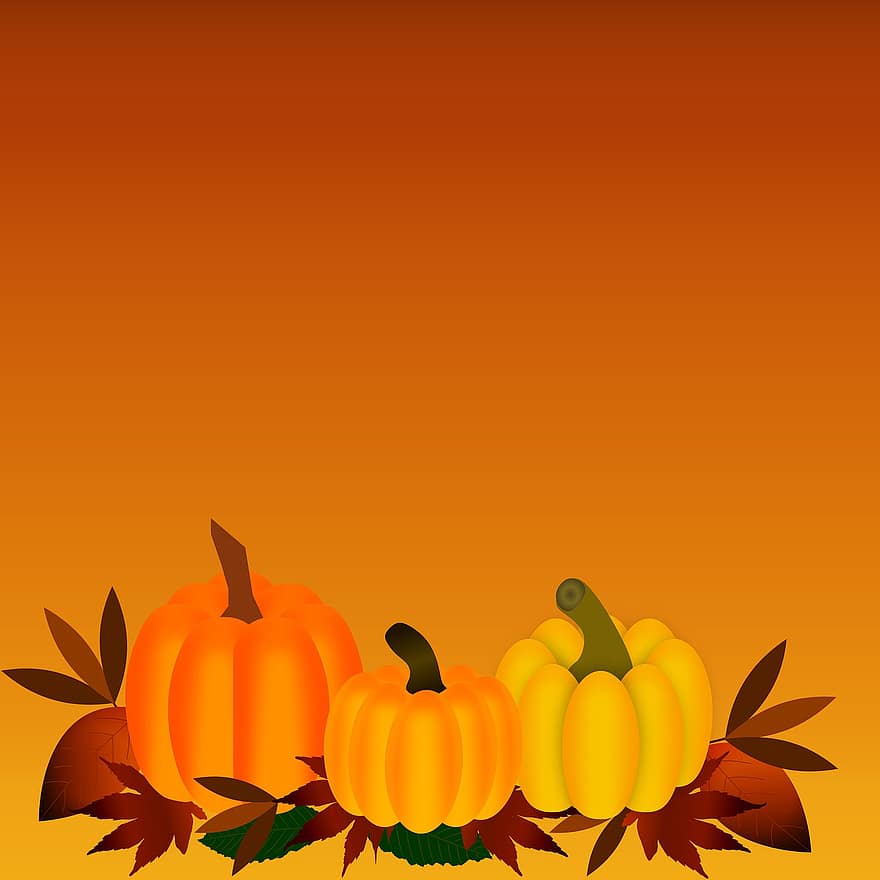 græskar, efterårsblade, ark, efterår, falde farver, oktober, blade, orange, Brun, halloween