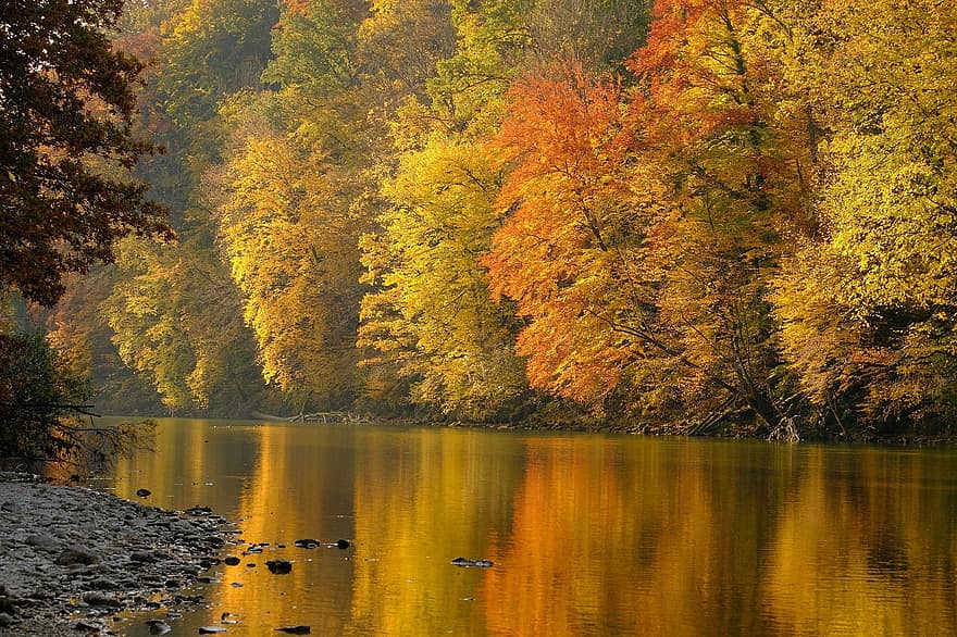 река, осень, лес, природа, пейзаж, речной пейзаж, падать