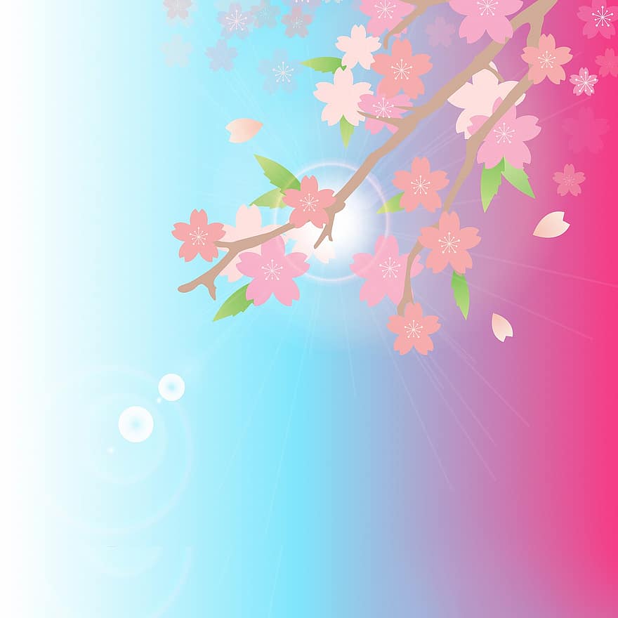 květiny, sakura, třešňové květy, jaro, Pozadí, digitální papír, nebe, slunečního světla, pozvání, scrapbooking, papír