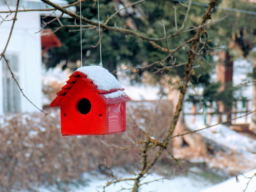 vogelhuisje, sneeuw, winter