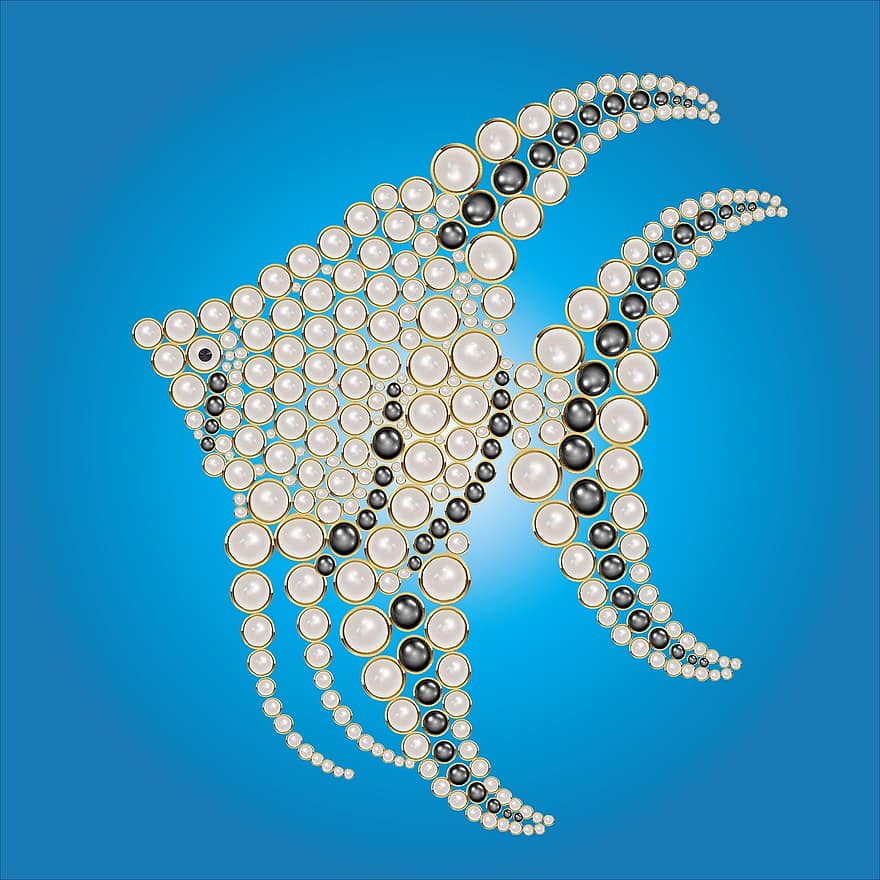 perle, fisk, akvarium, eksotisk, hvid perle, sort perle, marine