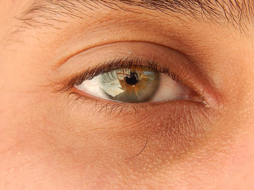 oko, Zielone oko, rzęsy, Kuszące oko, piękne oko, Urzekające oko, ludzkie oko, portret