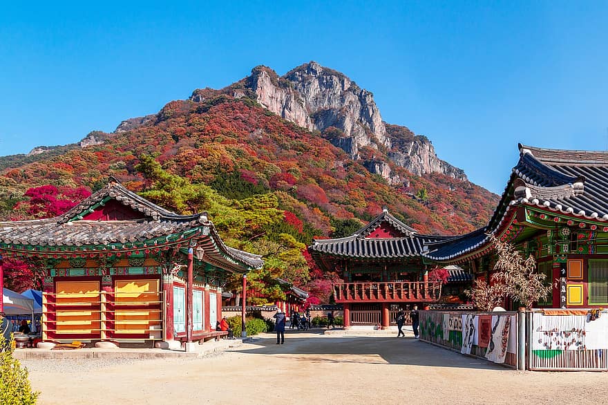 بيكيانجسا ، معبد ، الأشجار ، الجبل ، اشجار القيقب ، خريف ، هندسة معمارية ، الكورية ، تقليدي ، Baeghagbong ، الخريف