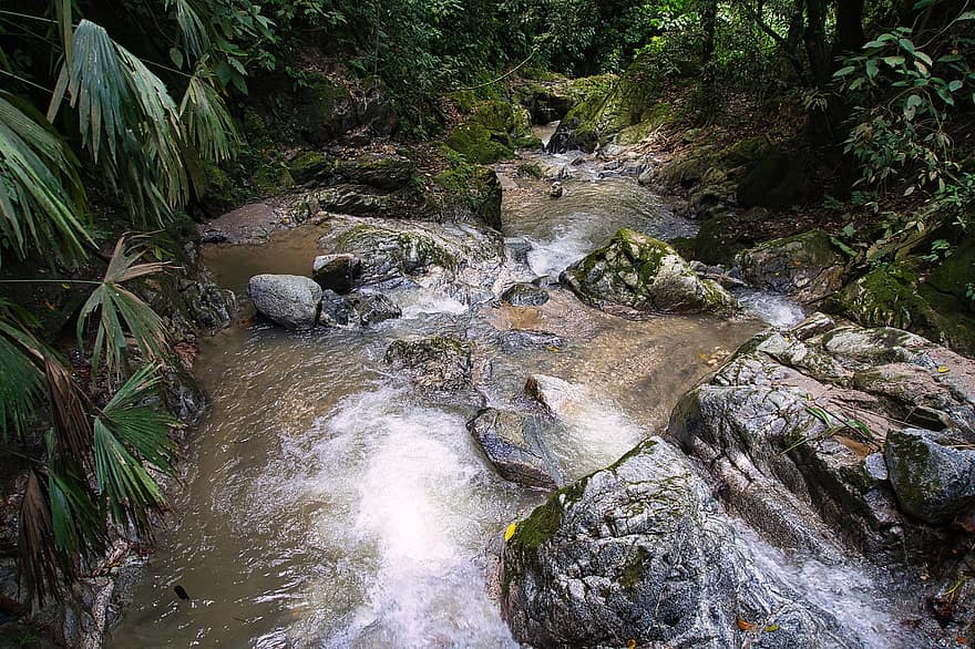 Natura, strumień, dżungla, na dworze, podróżować, badanie, las, Tropikalne lasy deszczowe, woda, zielony kolor, skała