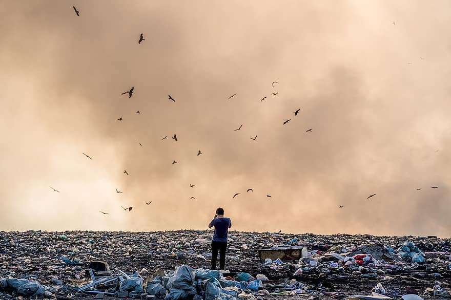бунище, замърсяване, мъж, депо за отпадъци, боклук, дим, изхвърляне, птици, на открито, купчина, пластмаса