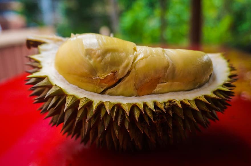 durian, καρπός, φαγητό, φρέσκο, υγιής, ώριμος, οργανικός, γλυκός, παράγω, συγκομιδή, γεωργία