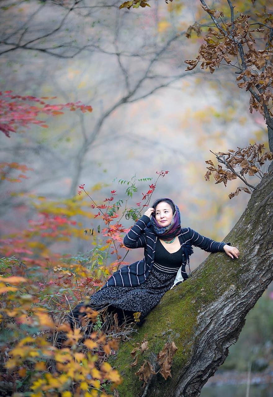 donna, tronco d'albero, autunno, Un tripudio di colori