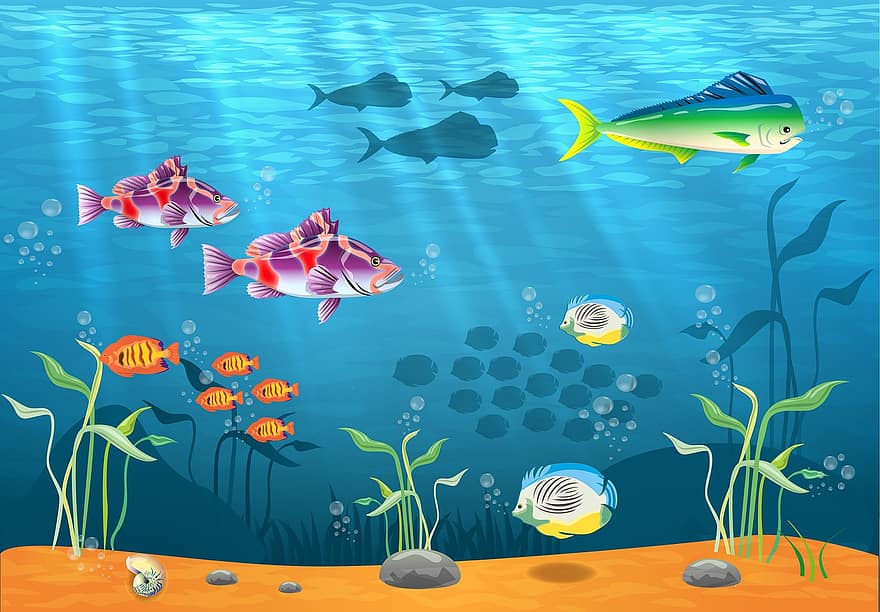 oceà, peix, és, mar, marina, naturalesa, sota l'aigua, vector, aigua, fons, il·lustració