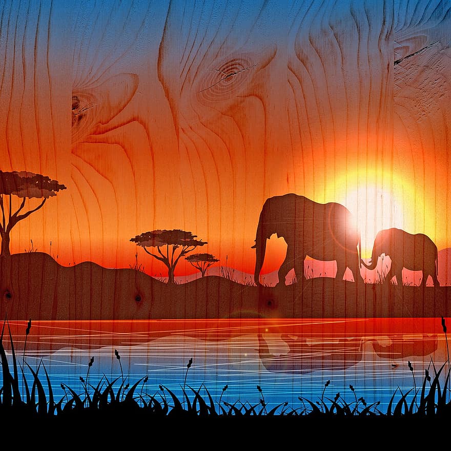 Afrikkalainen tausta, Puinen digitaalinen paperi, afrikkalainen maisema, norsuja, vesi, auringonlasku, maisema, matkustaa, luonto, safari, runko