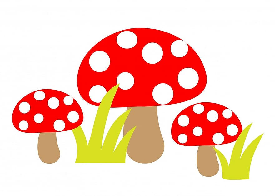 ciupercă, toadstools, artă, drăguţ, roșu, alb, iarbă