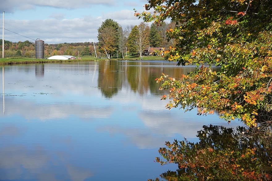 danau, alam, musim gugur, pohon, hutan, air, daun, pemandangan, musim, refleksi, biru