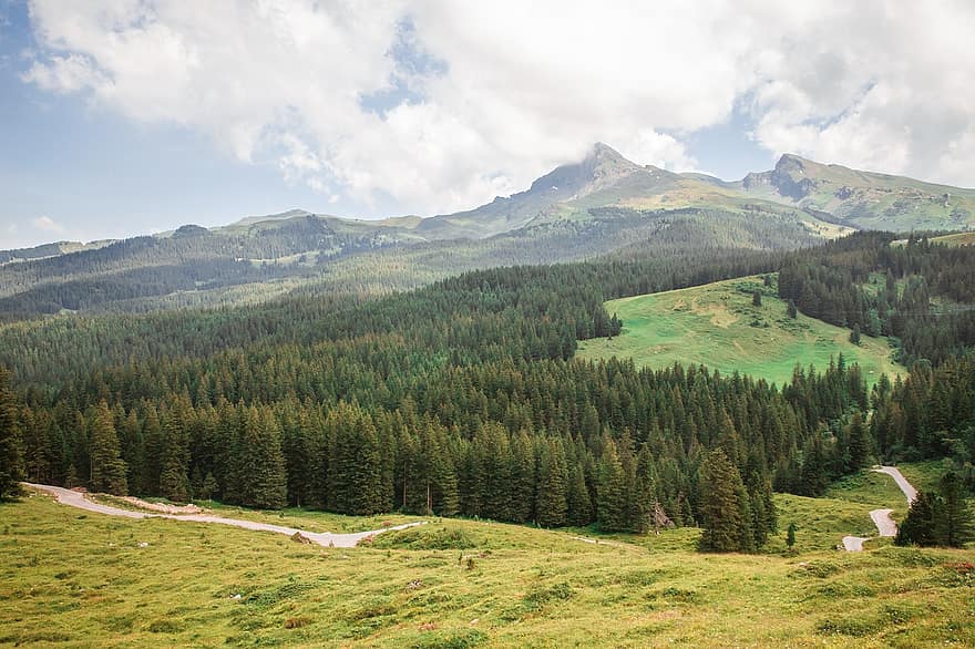 hory, vysokohorský, Příroda, horská pastvina, švýcarský, grindelwald