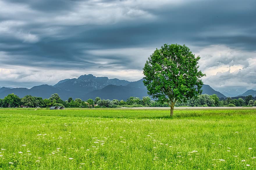 Landscape, Upper Bavaria, Chiemgau, Tree, Individually, Weather, Clouds, Rain Clouds, Nature