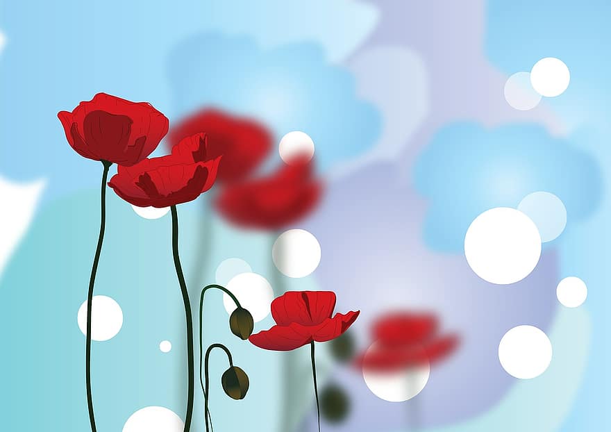 양귀비, 꽃, 빨간, 꽃 무늬의, 기념
