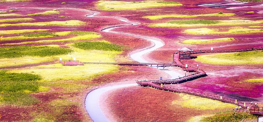 Jeungdo sala, gėlės, lauke, pobūdį, kraštovaizdį, kanalas, lapija, aukšto kampo vaizdas, kaimo scenoje, transportavimas, vaizdas iš oro