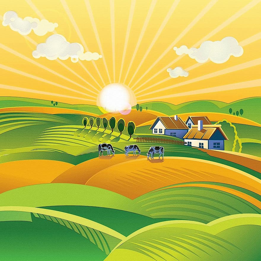 Saimniecības fons, saimniecība, klēts, zaļa, ražot, lauksaimniecību, raksturs, vasarā, dabiski, bioloģiski, pavasarī