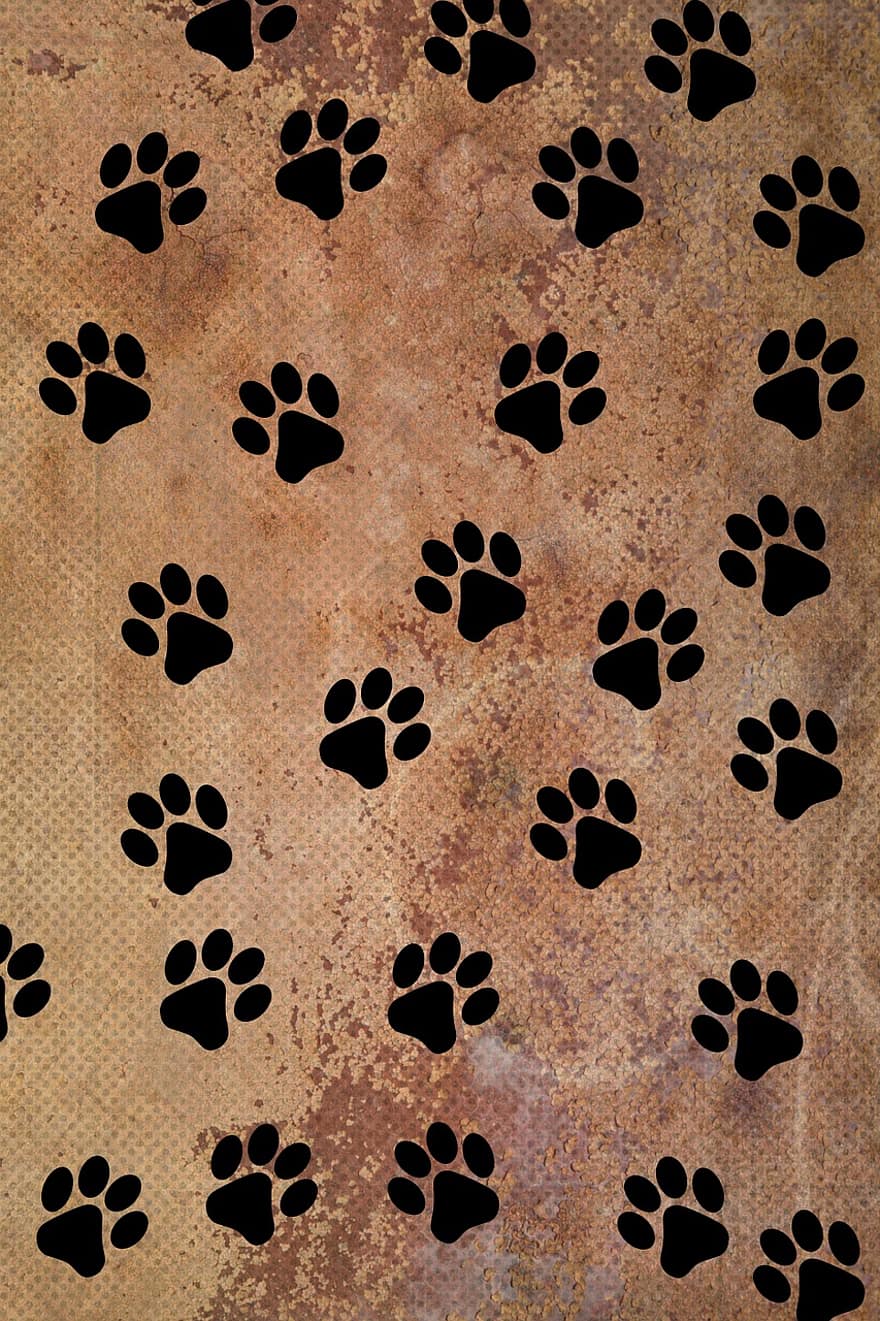 Texture, Grungy, Background, Scrapbooking, Paw Prints, Paw, Animal, Black, Track